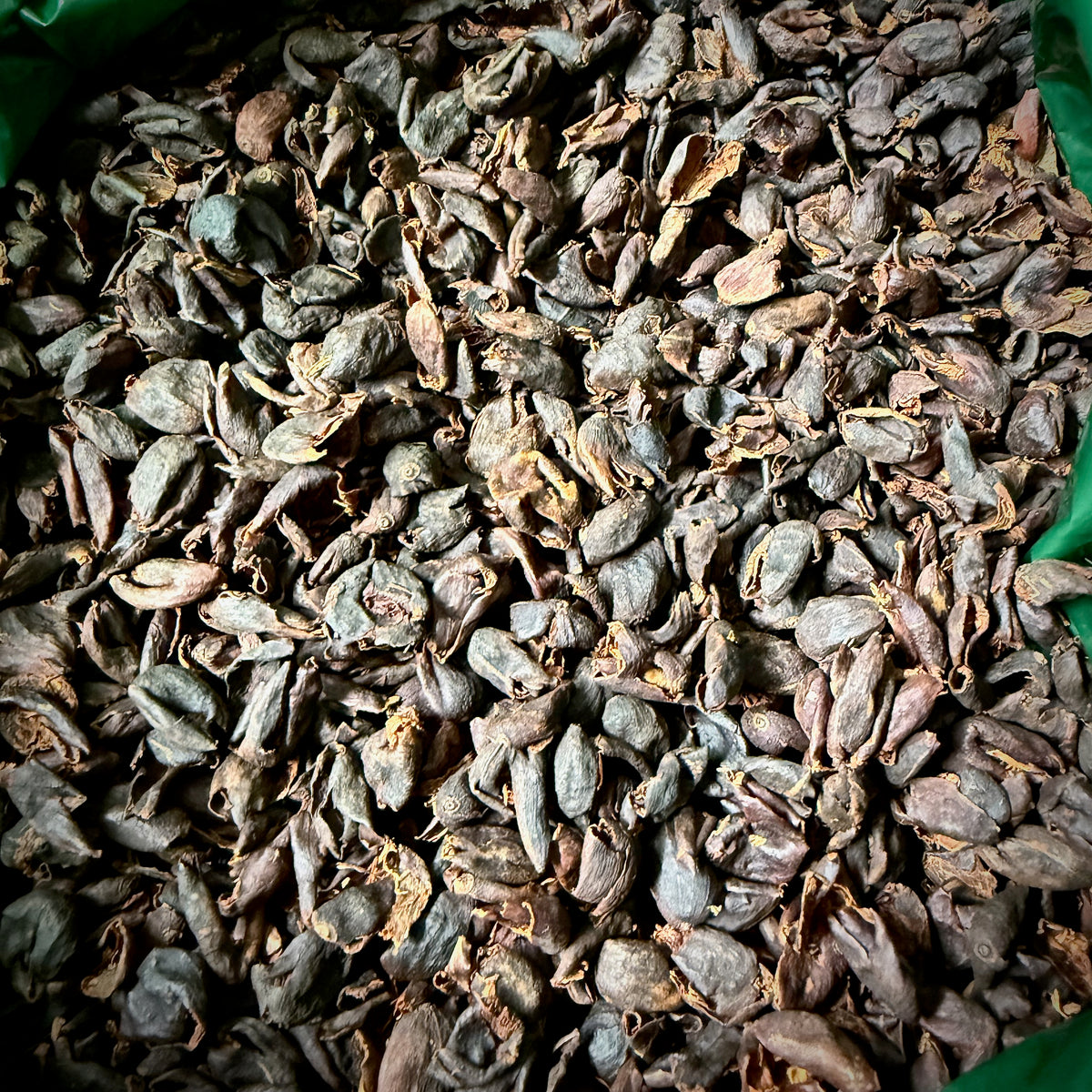 CASCARA - Rwanda - Lavé